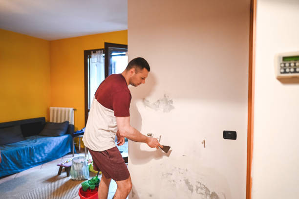 Best Mold Remediation Services  in Riverdale, IL